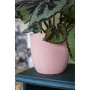 Pot EDA Opal Chape Ø 29,5 cm de EDA, Pots de fleurs - Réf : S7189408, Prix : 28,41 €, Remise : %