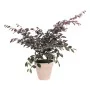 Pot Elho Loft Urban Bleu Ø 30 cm de Elho, Pots de fleurs - Réf : S7189503, Prix : 29,55 €, Remise : %