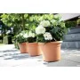 Plant pot Elho Circular Pink Plastic Ø 30 cm by Elho, Flower Pots - Ref: S7189748, Price: 32,96 €, Discount: %