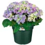 Blumentopf Elho kreisförmig grün Kunststoff Ø 40 cm von Elho, Töpfe - Ref: S7189751, Preis: 28,33 €, Rabatt: %