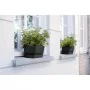 Planter Elho Black 70 cm Plastic by Elho, Window Boxes - Ref: S7189762, Price: 47,36 €, Discount: %