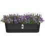 Planter Elho Black 70 cm Plastic by Elho, Window Boxes - Ref: S7189762, Price: 47,36 €, Discount: %