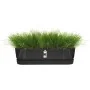 Planter Elho Black 70 cm Plastic by Elho, Window Boxes - Ref: S7189762, Price: 47,36 €, Discount: %