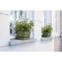 Planter Elho 50 cm Black Plastic by Elho, Window Boxes - Ref: S7189763, Price: 47,36 €, Discount: %