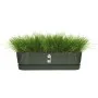 Planter Elho 50 cm Black Plastic by Elho, Window Boxes - Ref: S7189763, Price: 47,36 €, Discount: %