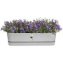 Blumenkasten Elho Grau 70 cm Kunststoff von Elho, Kästen - Ref: S7189764, Preis: 49,61 €, Rabatt: %