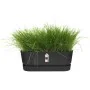 Planter Elho Black 50 cm Plastic Oval by Elho, Flower Pots - Ref: S7189766, Price: 39,98 €, Discount: %