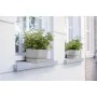 Planter Elho Grey 50 cm Plastic by Elho, Window Boxes - Ref: S7189768, Price: 40,86 €, Discount: %