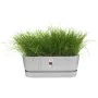 Planter Elho Grey 50 cm Plastic by Elho, Window Boxes - Ref: S7189768, Price: 40,86 €, Discount: %