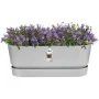 Planter Elho Grey 50 cm Plastic by Elho, Window Boxes - Ref: S7189768, Price: 40,86 €, Discount: %