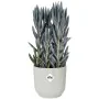 Pot Elho Ø 22 cm Blanc Plastique Ronde de Elho, Pots de fleurs - Réf : S7189770, Prix : 31,31 €, Remise : %