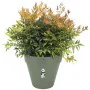 Plant pot Elho Circular Green Plastic Ø 40 cm by Elho, Flower Pots - Ref: S7189797, Price: 40,80 €, Discount: %