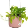 Plant pot Elho Circular Pink Plastic Ø 18 cm by Elho, Flower Pots - Ref: S7189801, Price: 32,50 €, Discount: %