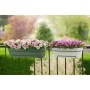 Jardinière Elho 50 cm Vert Plastique de Elho, Jardinières - Réf : S7189813, Prix : 31,46 €, Remise : %