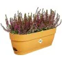 Planter Elho 50 cm Plastic by Elho, Window Boxes - Ref: S7189816, Price: 32,95 €, Discount: %