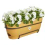 Planter Elho 50 cm Plastic by Elho, Window Boxes - Ref: S7189824, Price: 42,74 €, Discount: %