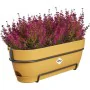 Planter Elho 50 cm Plastic by Elho, Window Boxes - Ref: S7189824, Price: 42,74 €, Discount: %