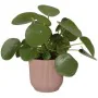 Vaso Elho Cor de Rosa Plástico Redondo Redonda Moderno Ø 25 cm de Elho, Vasos para flores - Ref: S7190620, Preço: 33,36 €, De...