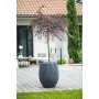 Pot EDA Anthracite Ø 50 cm de EDA, Pots de fleurs - Réf : S7191192, Prix : 77,44 €, Remise : %