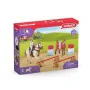 Ensemble de jouets Schleich 72157 Plastique Cheval de Schleich, Mallettes de jeux - Réf : S7191521, Prix : 46,56 €, Remise : %