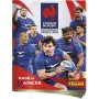 Chrome set Panini France Rugby di Panini, Collezioni di adesivi - Rif: S7192175, Prezzo: 34,26 €, Sconto: %