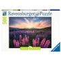 Puzzle Ravensburger 17492 Lupines 500 Pieces by Ravensburger, Jigsaws - Ref: S7192991, Price: 28,05 €, Discount: %