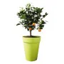 Plant pot Elho Loft Urban White polypropylene Circular Ø 28 cm by Elho, Flower Pots - Ref: S7193531, Price: 31,52 €, Discount: %