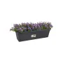 Pot Elho Noir 16,5 x 58,5 x 13,7 cm de Elho, Pots de fleurs - Réf : S7193548, Prix : 21,88 €, Remise : %