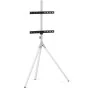 TV Mount One For All WM7462 32" 65" 30 Kg by One For All, TV tables and stands - Ref: S7193762, Price: 189,44 €, Discount: %