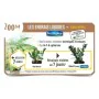 Fertilizante para plantas Fertiligène Gerânio Bloemen 3 L de Fertiligène, Fertilizantes multiusos - Ref: S7193908, Preço: 40,...