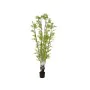 Plante décorative Romimex PVC 60 x 180 x 60 cm de Romimex, Plantes artificielles - Réf : D1619039, Prix : 155,22 €, Remise : %