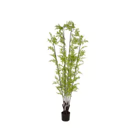 Planta Decorativa Romimex PVC 60 x 180 x 60 cm de Romimex, Plantas - Ref: D1619039, Preço: 139,09 €, Desconto: %