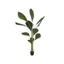 Planta Decorativa Romimex PVC Licuala 20 x 180 x 20 cm de Romimex, Plantas - Ref: D1619113, Precio: 148,91 €, Descuento: %