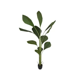 Plante décorative Romimex PVC Licuala 20 x 180 x 20 cm de Romimex, Plantes artificielles - Réf : D1619113, Prix : 133,44 €, R...