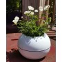 Pot Riss RIV3580798142023 Blanc Plastique Rond de Riss, Pots de fleurs - Réf : S7196259, Prix : 46,80 €, Remise : %