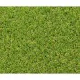 Gazon artificiel Exelgreen Campus 2D 1 x 5 m 25 mm de Exelgreen, Gazon - Réf : S7196462, Prix : 80,01 €, Remise : %