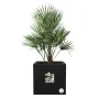 Plant pot Elho Black Ø 29 cm Plastic Squared Modern by Elho, Flower Pots - Ref: S7196656, Price: 53,03 €, Discount: %