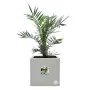 Plant pot Elho White Ø 29,5 cm Plastic Squared Modern by Elho, Flower Pots - Ref: S7196657, Price: 54,86 €, Discount: %