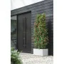 Plant pot Elho 59 x 30 x 29 cm White Plastic Rectangular Modern by Elho, Flower Pots - Ref: S7196658, Price: 66,73 €, Discoun...