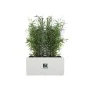 Maceta Elho 59 x 30 x 29 cm Blanco Plástico Rectangular Moderno de Elho, Macetas para flores - Ref: S7196658, Precio: 67,72 €...