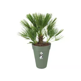 Plant pot Elho Green Ø 34 cm Plastic Circular Modern by Elho, Flower Pots - Ref: S7196661, Price: 42,62 €, Discount: %