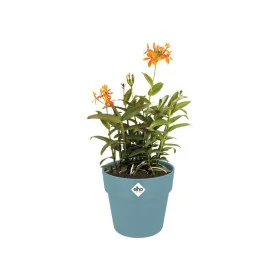 Plant pot Elho Blue Ø 35 cm Plastic Circular by Elho, Flower Pots - Ref: S7196662, Price: 46,83 €, Discount: %