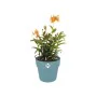 Plant pot Elho Blue Ø 35 cm Plastic Circular by Elho, Flower Pots - Ref: S7196662, Price: 47,07 €, Discount: %