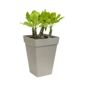 Blumentopf Elho Ø 29,5 cm Weiß Polypropylen Kunststoff karriert Moderne von Elho, Töpfe - Ref: S7196675, Preis: 39,74 €, Raba...