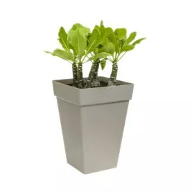 Plant pot Elho Ø 29,5 cm White polypropylene Plastic Squared Modern by Elho, Flower Pots - Ref: S7196675, Price: 39,11 €, Dis...