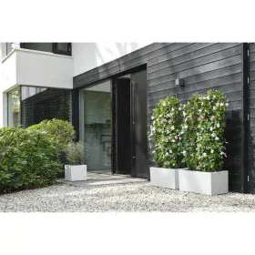 Pot Elho 29,5 x 29,5 x 49,5 cm Blanc Plastique Carré Moderne de Elho, Pots de fleurs - Réf : S7196704, Prix : 53,03 €, Remise...