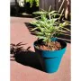 Pot Riviera Bleu Ø 55 cm de Riviera, Pots de fleurs - Réf : S7196803, Prix : 45,51 €, Remise : %