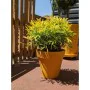 Plant pot Riviera Yellow Ø 60 cm by Riviera, Flower Pots - Ref: S7196804, Price: 45,75 €, Discount: %