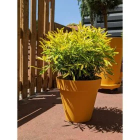 Pot Riviera Jaune Ø 60 cm de Riviera, Pots de fleurs - Réf : S7196804, Prix : 47,03 €, Remise : %