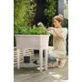 Plant pot Elho Grey Plastic 79 x 39 x 94 cm by Elho, Flower Pots - Ref: S7196822, Price: 134,21 €, Discount: %